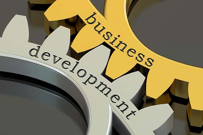 Business Development gears