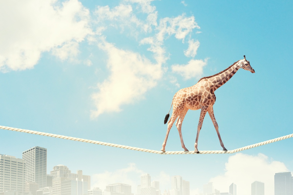 Image of giraffe walking on rope high in sky-1.jpeg